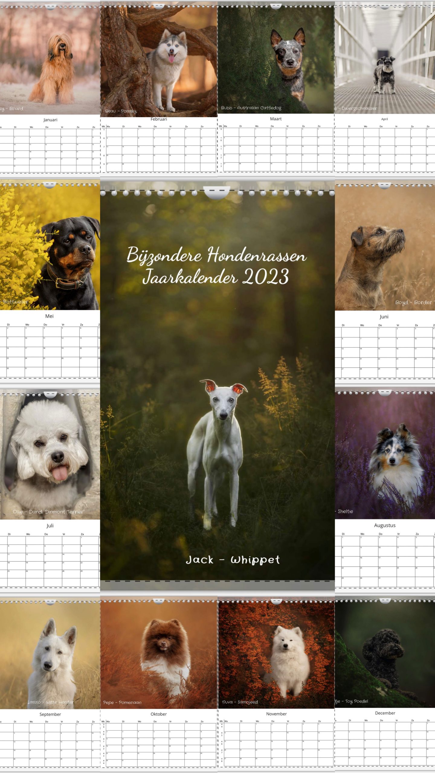 Bijzondere Hondenrassen Jaarkalender 2023 – Moment& Fotografie